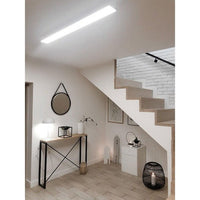 ; ; ; ; ;