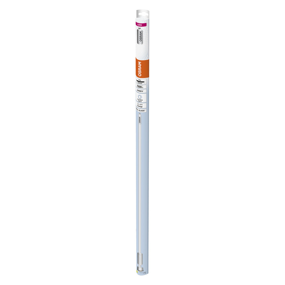 ; ; ; 