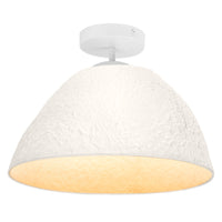 ; ; ; ; ;
