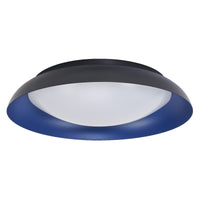 ; ;