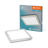 ; ; ; ; 