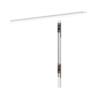 ; ; ;
