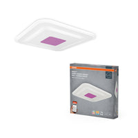 ; ; ;